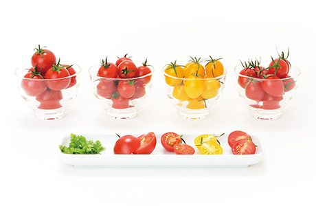 【送料無料】高糖度フルーツトマト”とまおとめ” 食べ比べ 1kg
