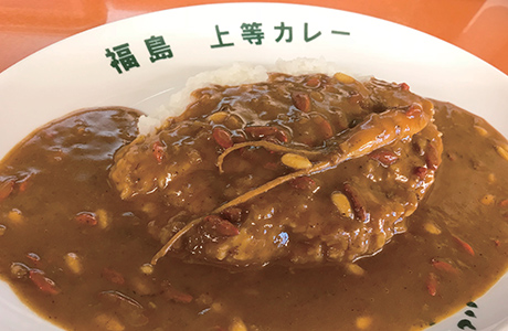 【特別価格・送料無料】上等カレーレトルト（薬膳）170g×5箱