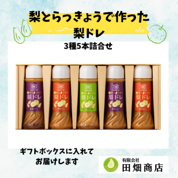 ドレッシング3種5本詰合せ