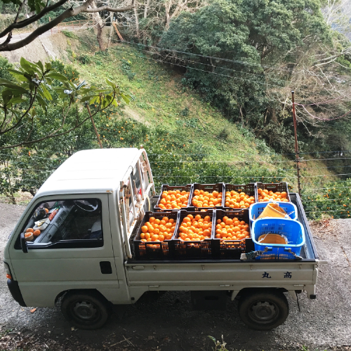 トラックはぽんかんのオレンジ一色になります