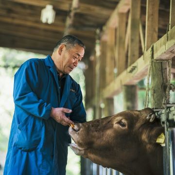 漢方和牛・関村牧場