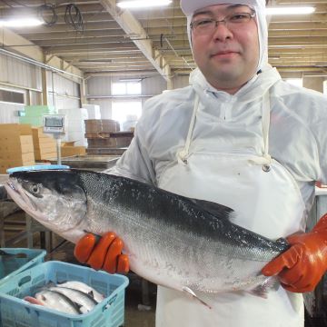 藤井水産