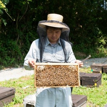 渡辺養蜂場